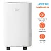 Máy Hút Ẩm NWT10L